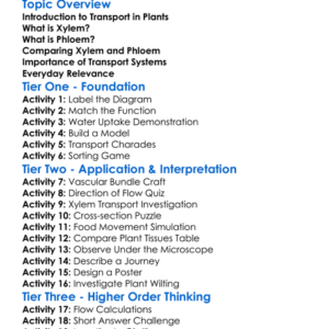 Xylem And Phloem In Plants Worksheet Activity Booklet